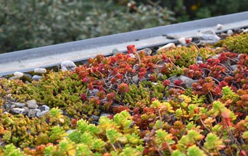 the cost of Oxgangs green roof installation