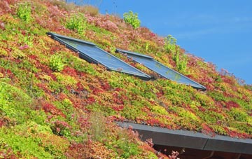 Oxgangs living roof systems