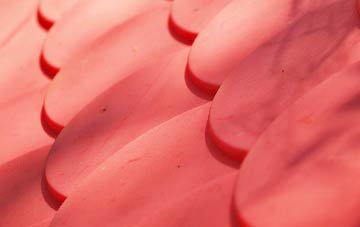 Oxgangs plastic roof costs