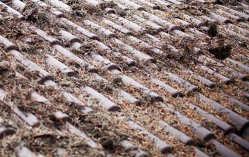 Oxgangs roof cleaning companies