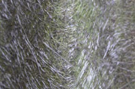 Oxgangs fibreglass roof work